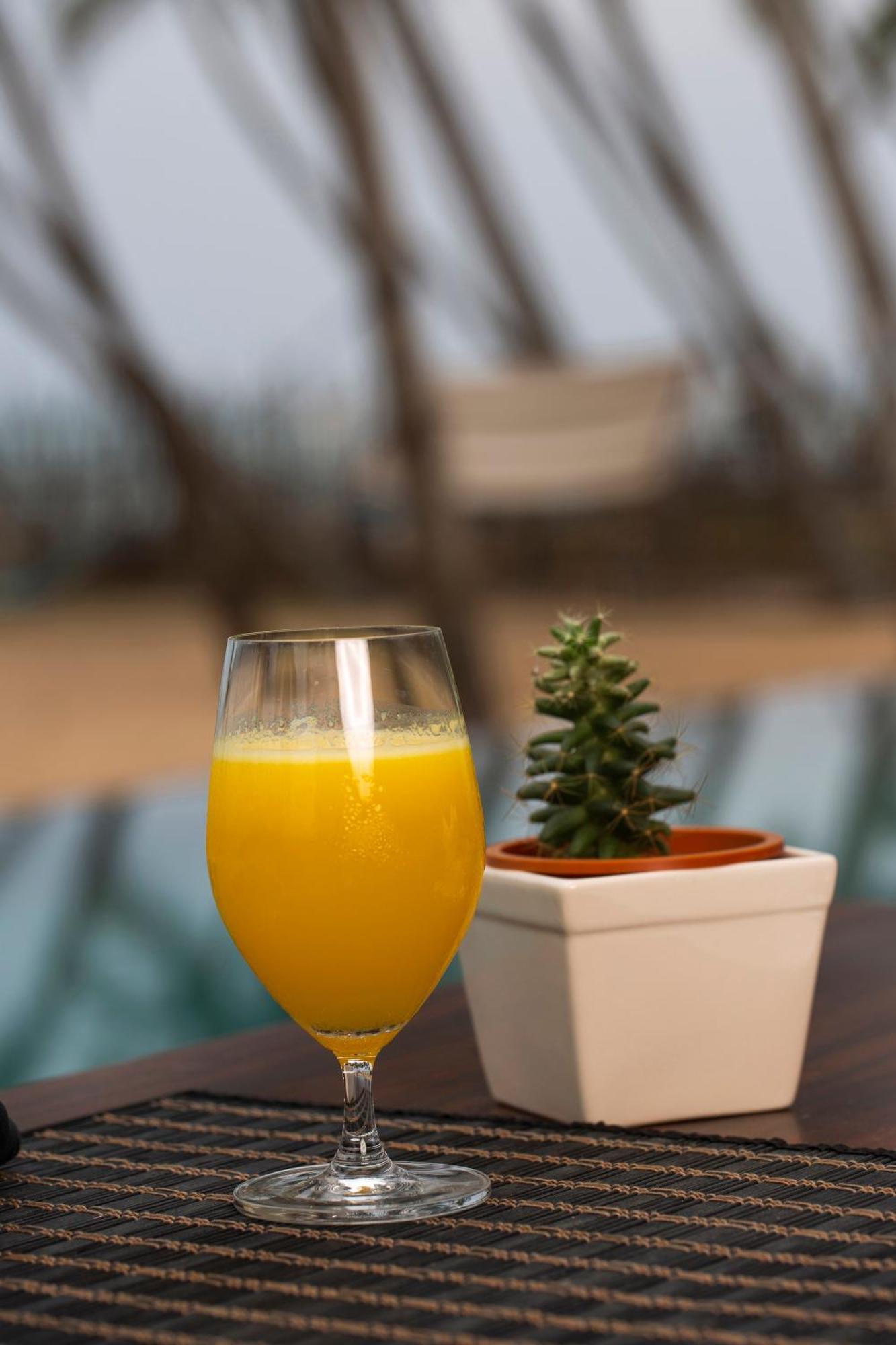 Serendivi Resort Villa Kahandamodara Εξωτερικό φωτογραφία